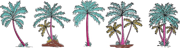 a Set of Palm Tree Illustrations