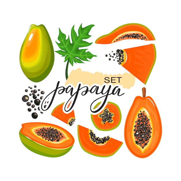 Set of papaya fruit, leaves, papaya slices and trendy lettering