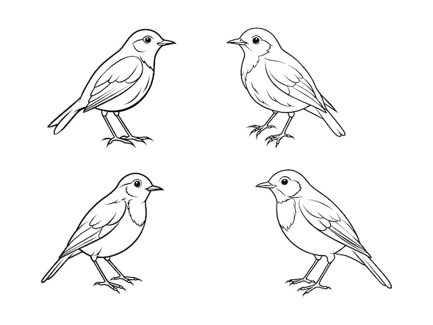 Vector set of parrot bird one continuous line drawing cute decoration hand drawn elements vector file