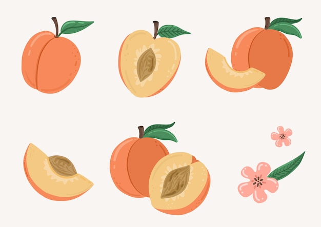 Set of peaches with leaves fruit cartoon doodle illustration