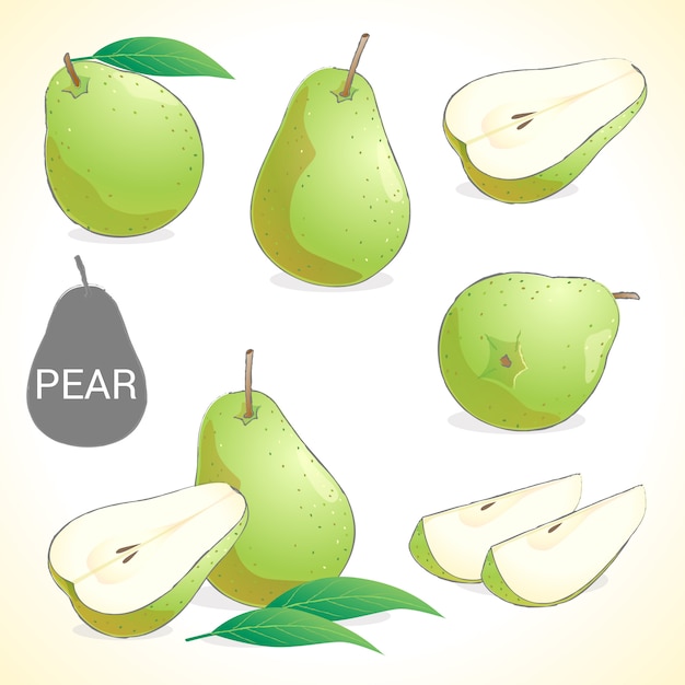 Set of pear fruit in various styles vector format