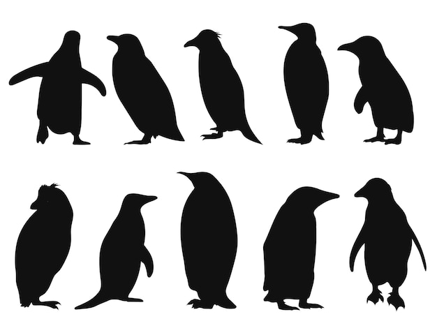 set of penguin silhouettes. Vector illustration penguin Shape shadow isolated on white background