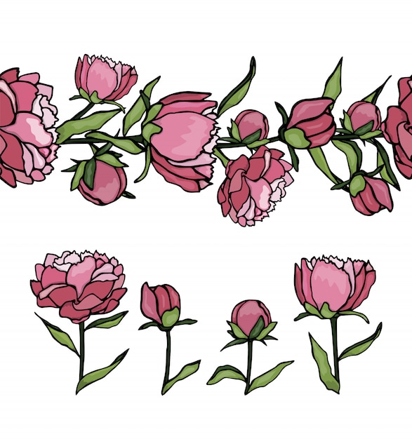   set of peony  elements and pattern brush. Hand drawn cartoon style illustration. Cute summer or spring templates wedding, holiday or card 