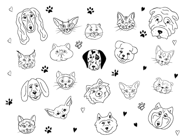 Set of pet portraitsCats and dogs of different breeds togetherVector illustration