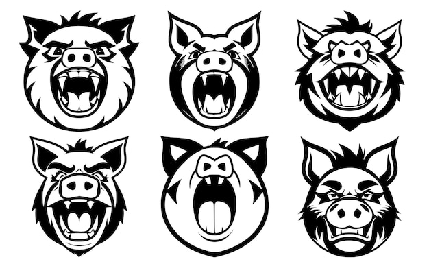 Set of pig heads with open mouth and bared fangs with different angry expressions of the muzzle Symbols for tattoo emblem or logo isolated on a white background