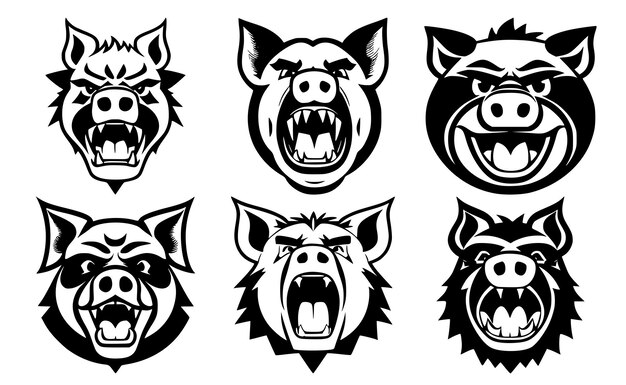 Set of pig heads with open mouth and bared fangs with different angry expressions of the muzzle Symbols for tattoo emblem or logo isolated on a white background