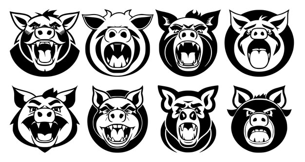 Set of pig heads with open mouth and bared fangs with different angry expressions of the muzzle Symbols for tattoo emblem or logo isolated on a white background