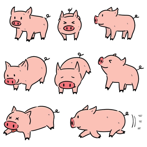 set of pig