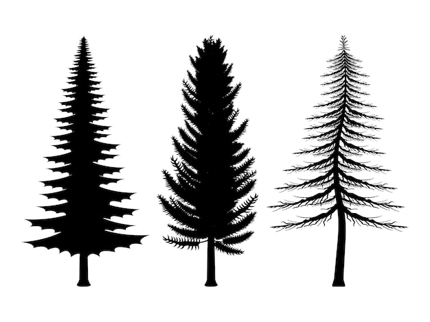 Set Of Pine Tree Silhouettes