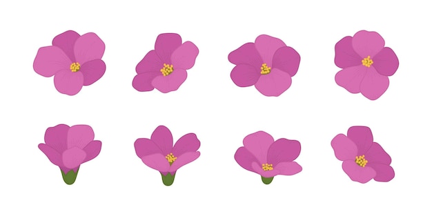 Set of pink blooming flowers illustration