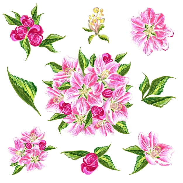 A set of pink flowers with leaves and flowers