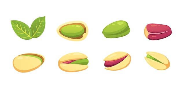 Set pistachio nut vector illustration in cartoon style Organic food