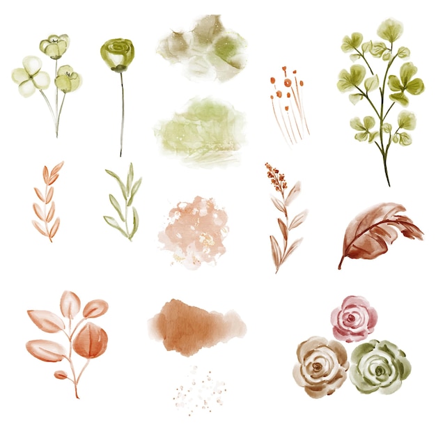 set of plant watercolor illustration for decor