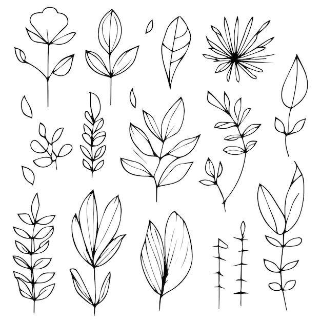 A set of plants drawn by hand.