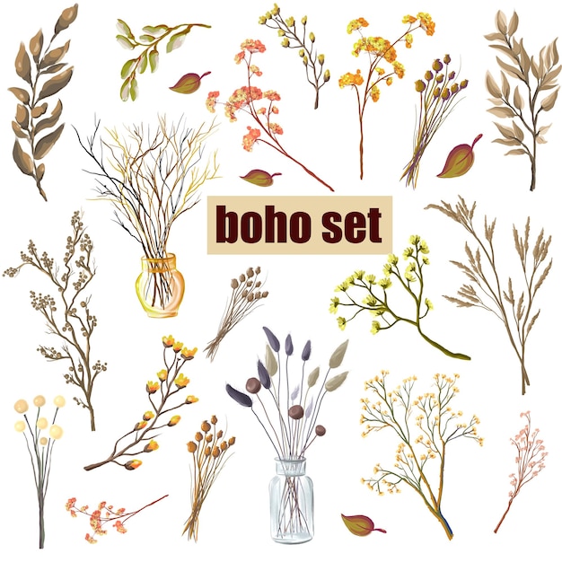 Set of plants and flowers in boho style Dried wild herbs and flowers Isolated vector