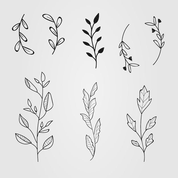 A set of plants ornamental element collection