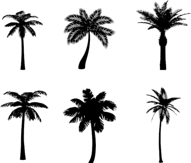 Set of plants and palm trees