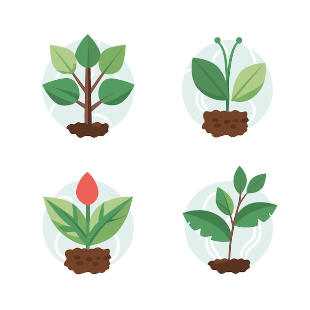 Vector a set of plants with a red tulip in the middle