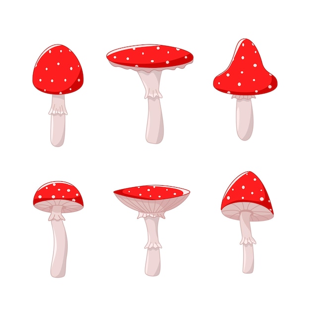 A set of poisonous fly agaric mushrooms, a vector illustration of forest inedible mushrooms.