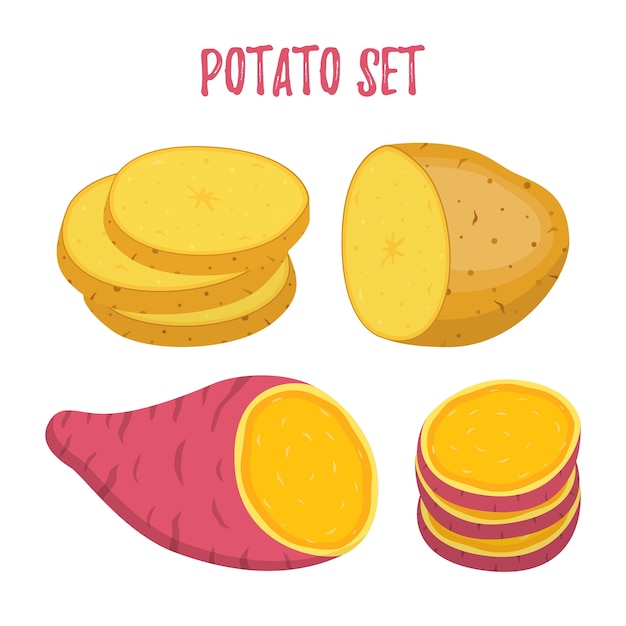 Set of potato. Sweet, brown potatoes and slices