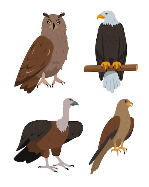 Set of predatory birds icons Owl eagle kite or hawk and vulture