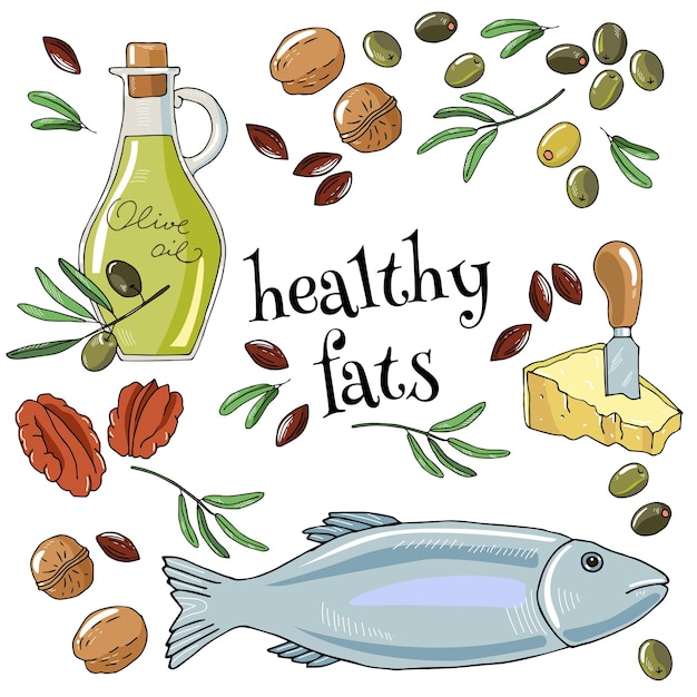 Vector set of products containing healthy fats olives, olive oil, cheese, nuts, fish isolated