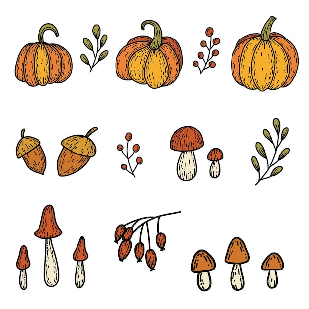 Set of pumpkin, branches, mushroom, rose hip, acorn in hand drawn doodle style. Linear autumn vector illustration.