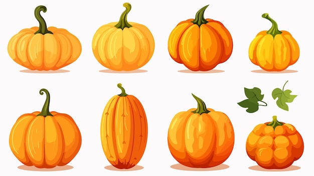 Vector set of pumpkin icons of different shapes vector illustration