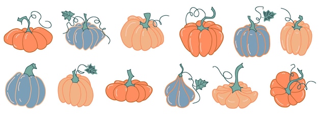 Set pumpkin vegetables vector hand drawn illustration seasonal autumn harvest