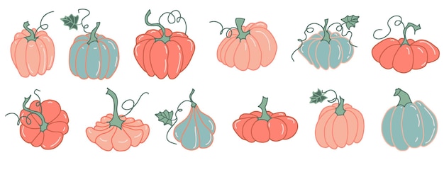 Set pumpkin vegetables vector hand drawn illustration seasonal autumn harvest