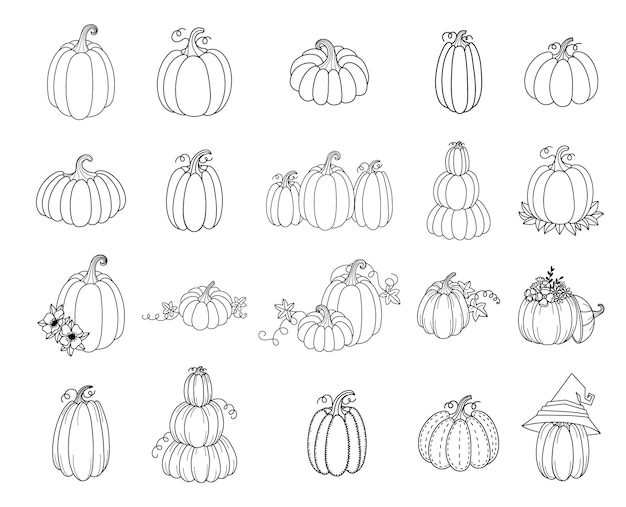 set pumpkins black outlined big set cute hand drawndoodleclipart pumpkins background