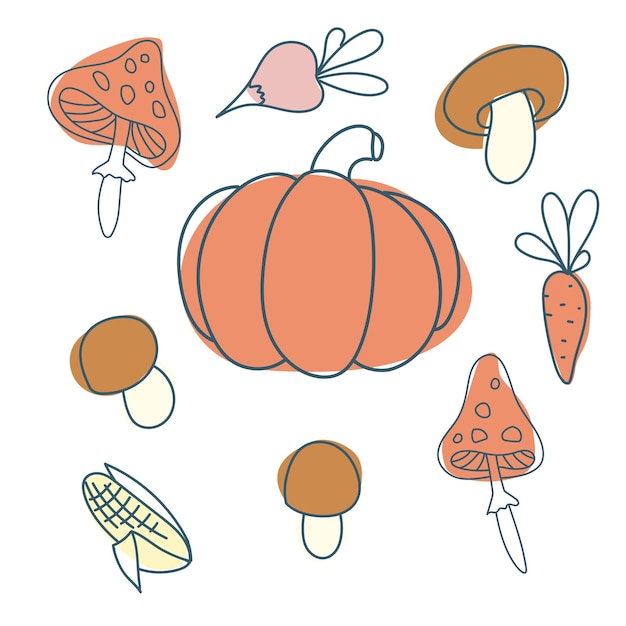 Set of pumpkins and other vegetables in doodle style Autumn leaves corn carrots Pumpkin for decoration Autumn vegetables Vector graphics isolated on white background