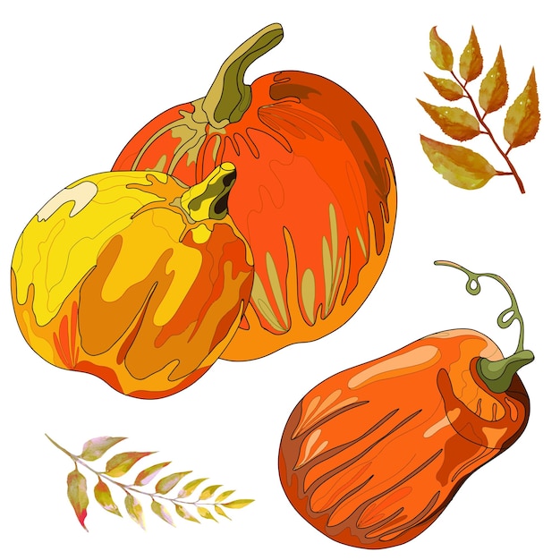 Set of pumpkins and tree leaves illustration