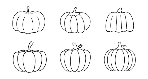 Set of pumpkins in various shapes. Vector outline illustration. Collection of cute hand drawn pumpkins on white background. Elements for autumn decorative design, harvest