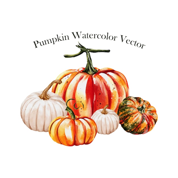 Set of punpkins watercolor vector illustration design