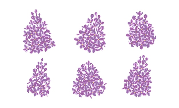 Set of purple lilac blooming flowers illustration