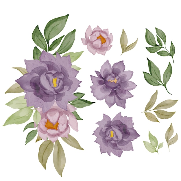 Set of purple rose bouquet isolated clipart