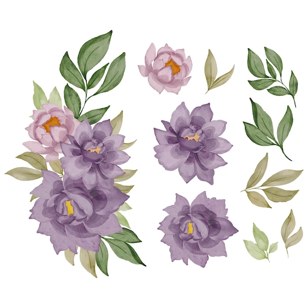 Set of purple rose bouquet isolated clipart