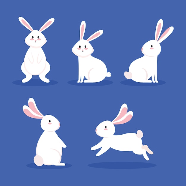 Set of rabbits animals icons