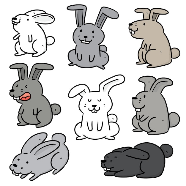 set of rabbits