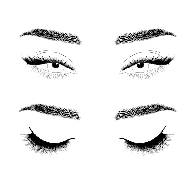 Set of realistic woman eyes Female lashes and eyebrows Lamination and extension eyelashes Beauty studio logo Linear vector Illustration in trendy minimalist style