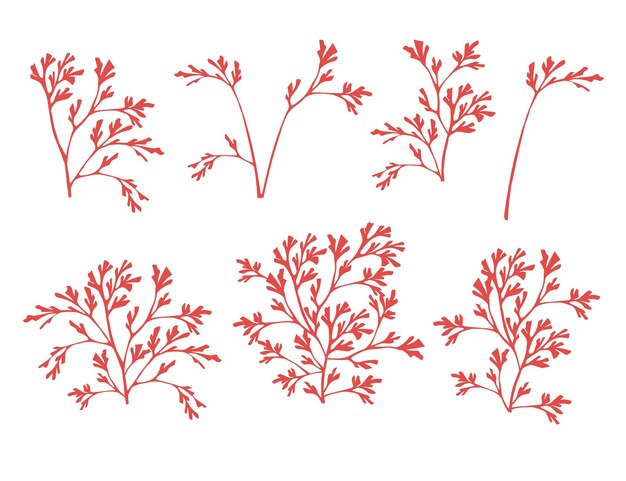 Vector set of red coral seaweeds silhouettes flat vector illustration isolated on white background