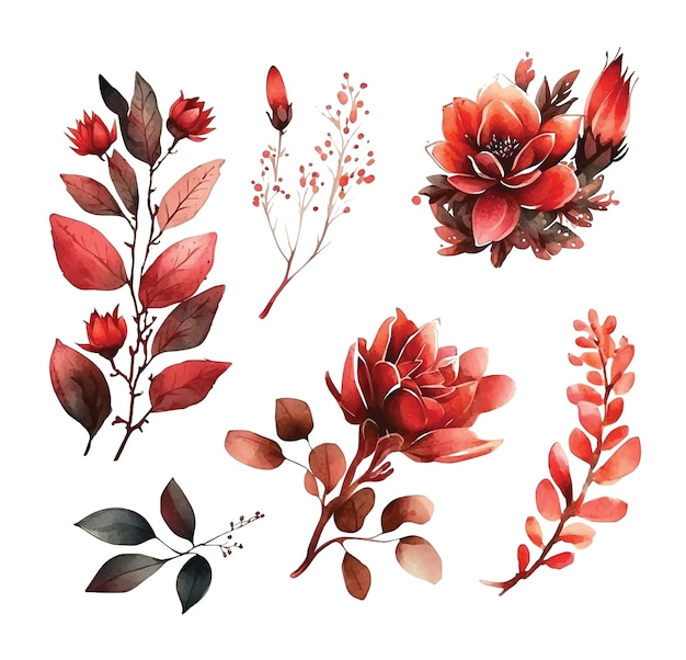 Set of red flowers watercolor paint