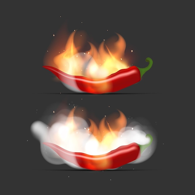 Set of Red hot peppers on fire and smoke Chili peppers white clouds of smoke and flames Realistic style Vector illustration