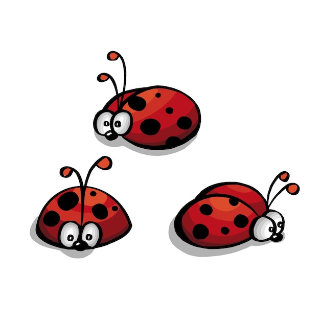 Set of red ladybug isolated on white illustration Vector illustration