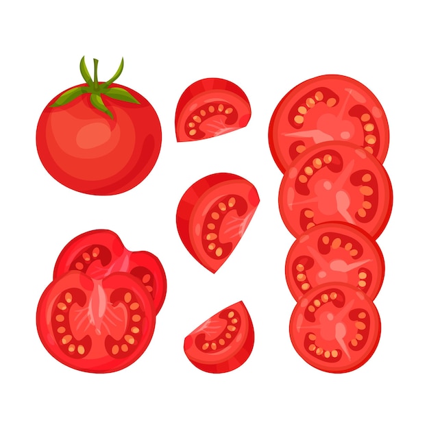 Set of red ripe tomatoes Whole half quarter slice Vector illustration on white background