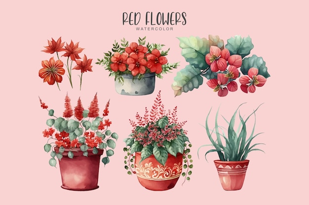 A set of red watercolor flowers in pots on a pink background