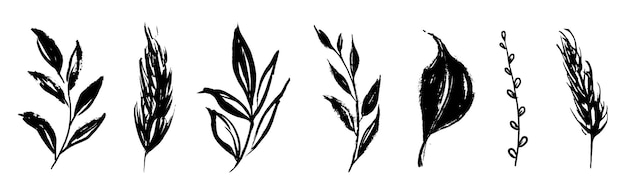 Set of retro branches and leaves Silhouettes of artistic herbs in black ink