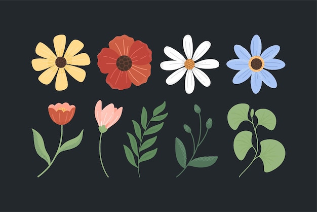 Set of Retro Flower Illustration