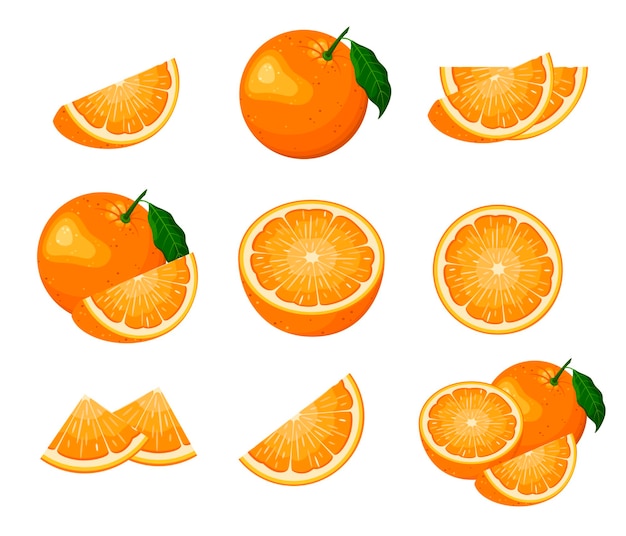 A set of ripe oranges on a white background Cartoon design Vector illustration